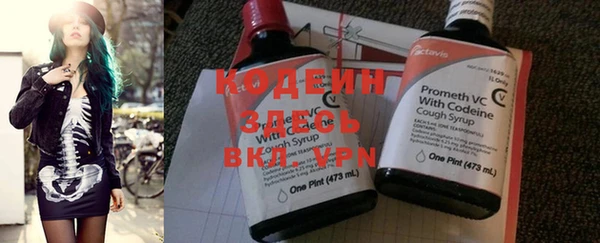 шишки Новозыбков