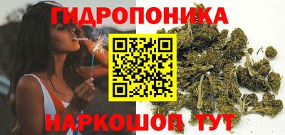стаф Заводоуковск