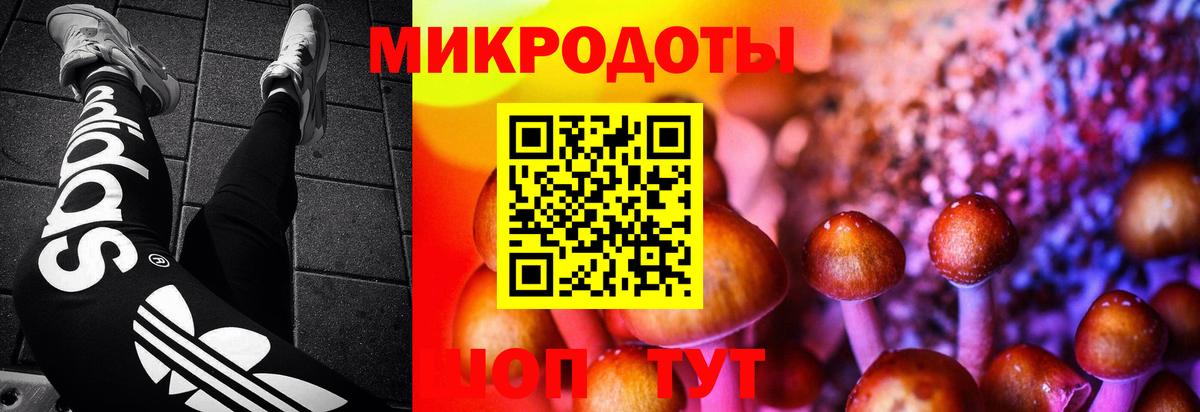 как найти закладки  Псилоцибиновые грибы мицелий  Нефтеюганск  Вход с VPN  Псилоцибиновые грибы GOLDEN TEACHER 